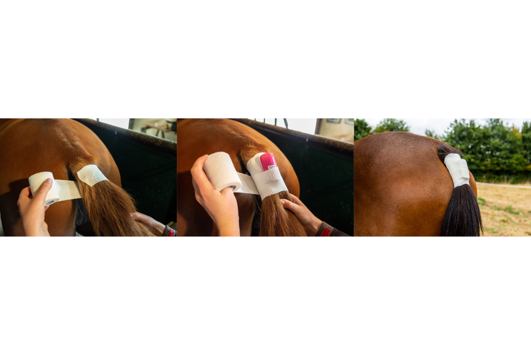 EASYFOAL Indoor WITHOUT SIM card 